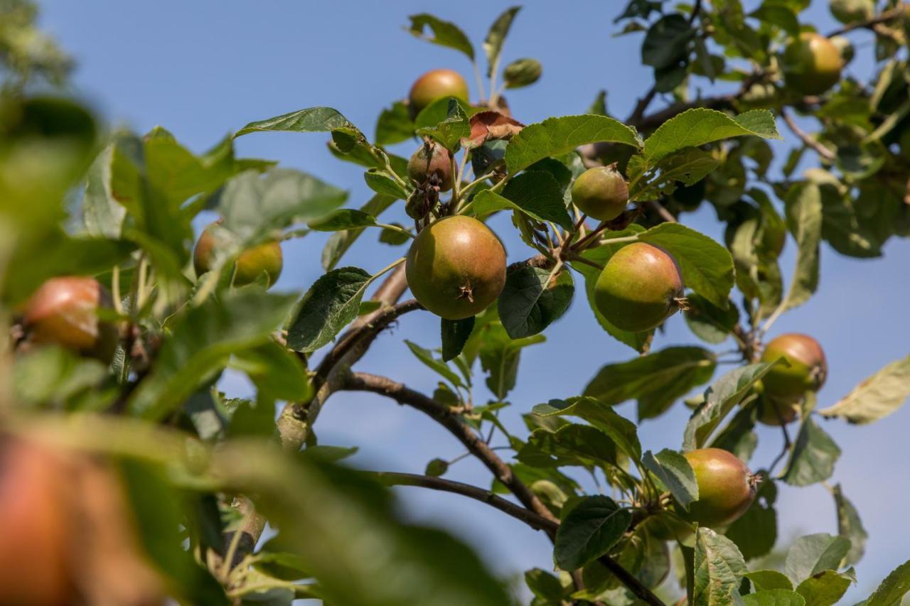 De Notenboom Meliskerke 外观 照片